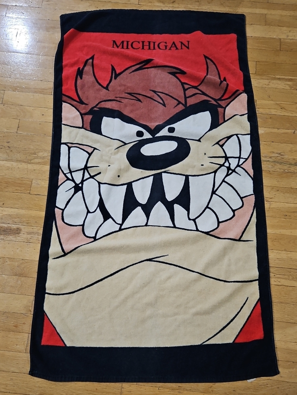 Vintage 90s Looney Tunes Taz Michigan Beach Towel Warner Bros
